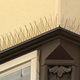 Image for article titled 10 Hidden Details in Your City and What They Mean